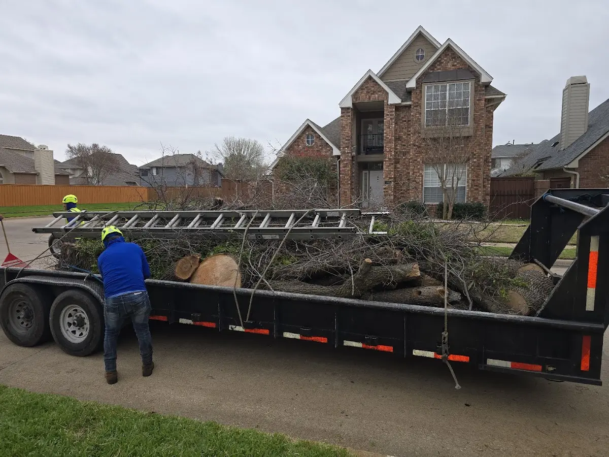 Expert Tree Removal with proper safety equipment in Westerville
